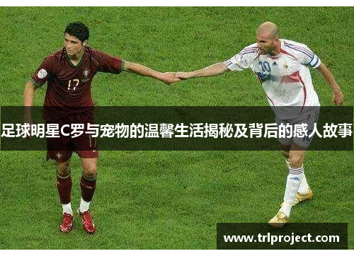 足球明星C罗与宠物的温馨生活揭秘及背后的感人故事